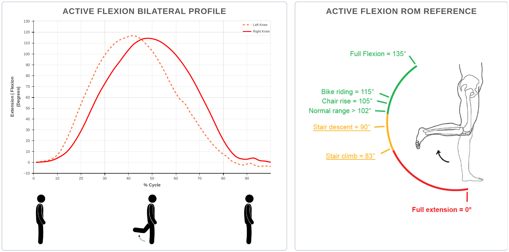 Standing active flexion charts from a GATOR PRIME report